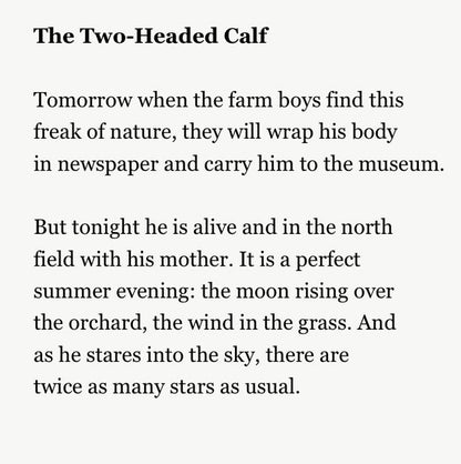 Two-Headed Calf Laura Gilpin T-Shirt