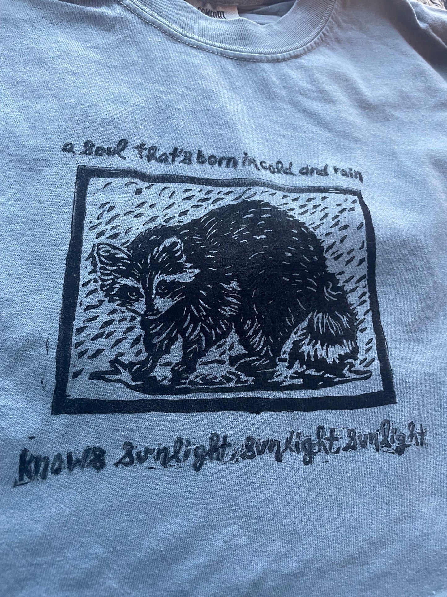 Marty Rainy Raccoon Handprinted T-Shirt